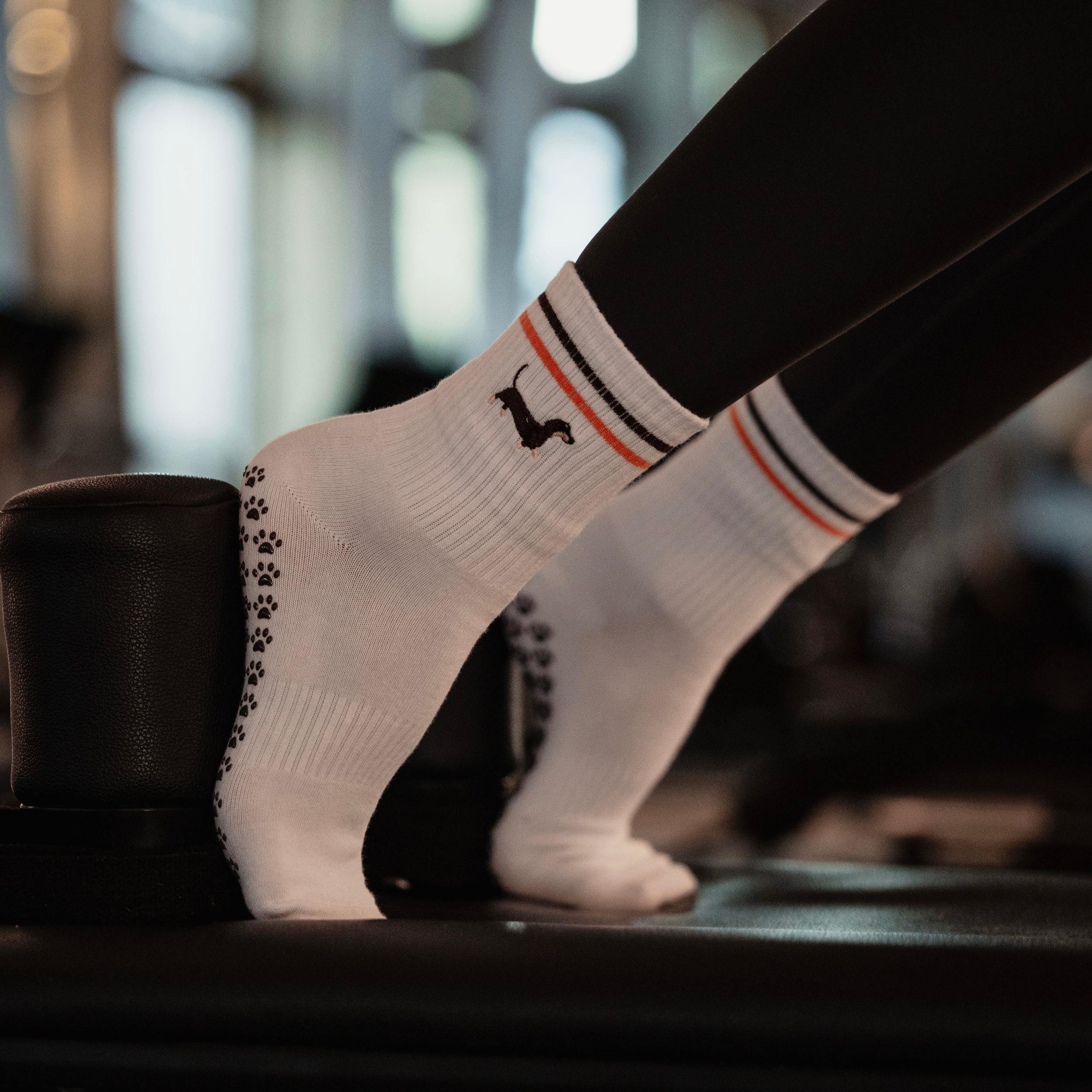 JOSEF P Dackel Edition - Pilates Socken