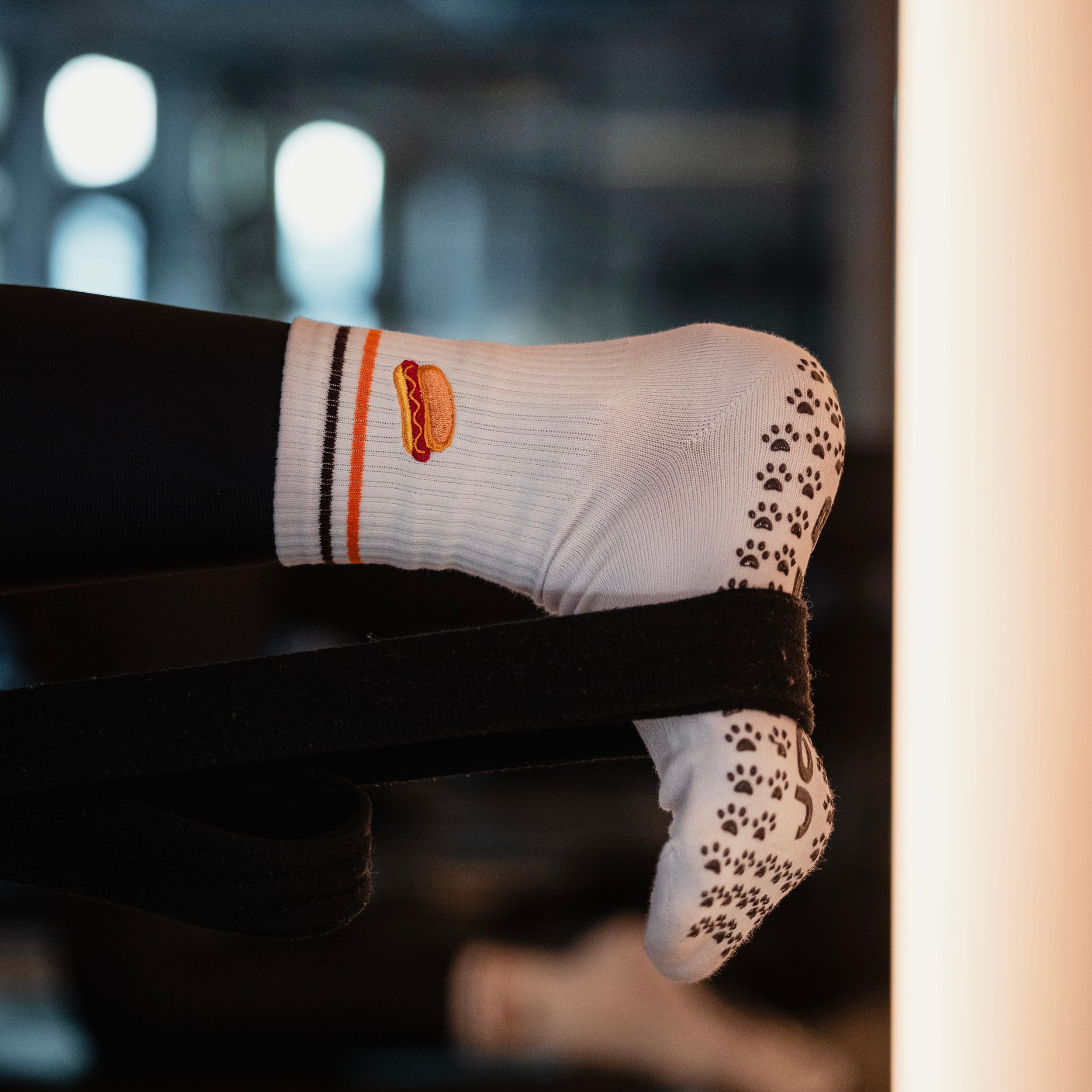 JOSEF P Dackel Edition - Pilates Socken