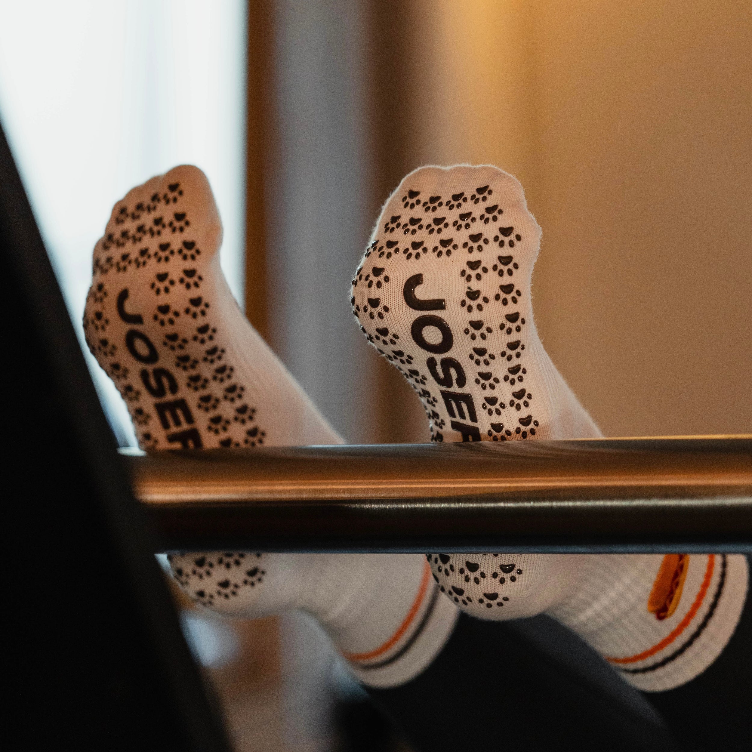 JOSEF P Dackel Edition - Pilates Socken